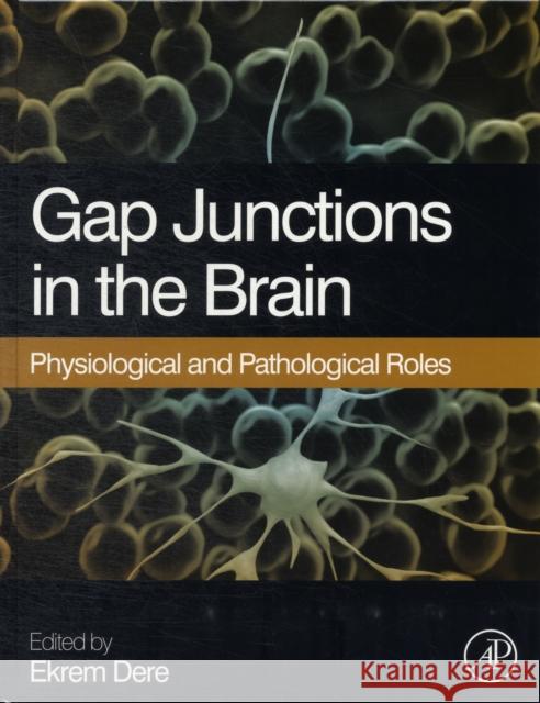 Gap Junctions in the Brain: Physiological and Pathological Roles Dere, Ekrem 9780124159013 Academic Press