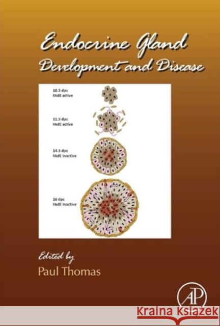 Endocrine Gland Development and Disease: Volume 106 Thomas, Paul 9780124160217