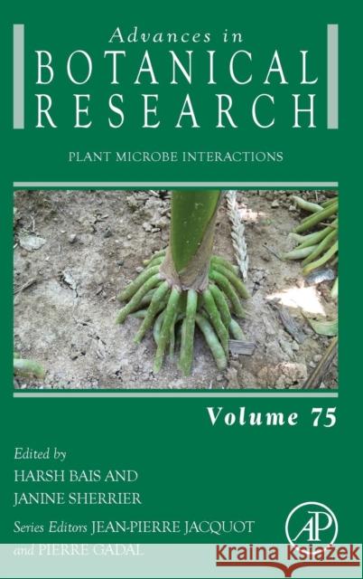 Plant Microbe Interactions: Volume 75 Bais, Harsh 9780124201163