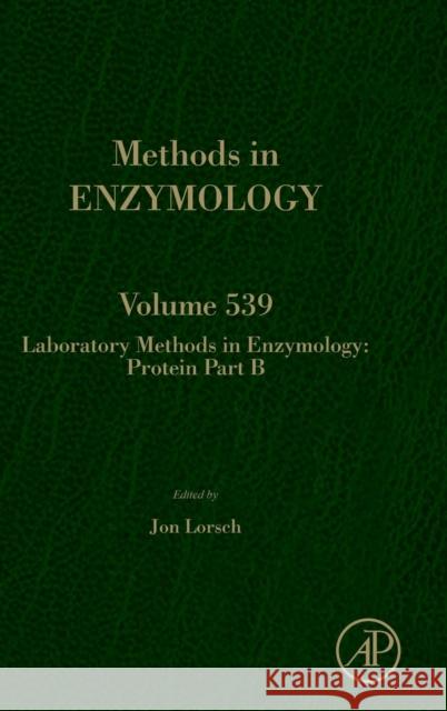 Laboratory Methods in Enzymology: Protein Part B: Volume 539 Lorsch, Jon 9780124201200