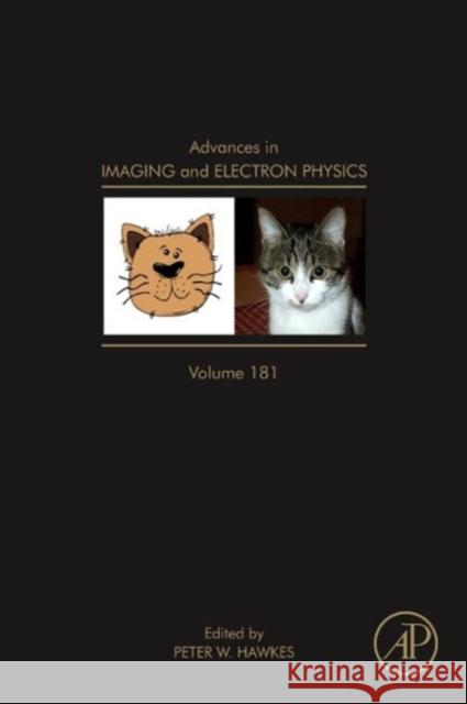 Advances in Imaging and Electron Physics: Volume 181 Hawkes, Peter W. 9780128000915 Academic Press