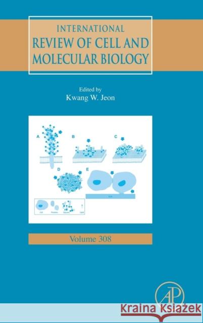 International Review of Cell and Molecular Biology: Volume 308 Jeon, Kwang W. 9780128000977 Academic Press