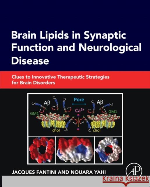Brain Lipids in Synaptic Function and Neurological Disease: Clues to Innovative Therapeutic Strategies for Brain Disorders Fantini, Jacques 9780128001110 Academic Press