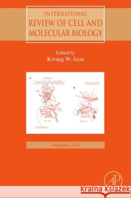 International Review of Cell and Molecular Biology: Volume 310 Jeon, Kwang W. 9780128001806