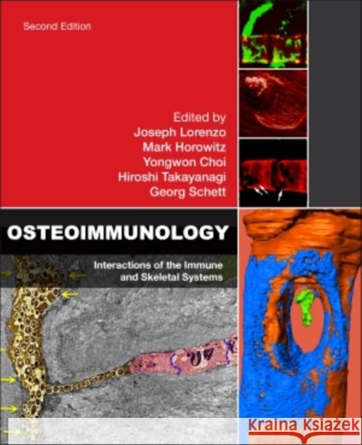 Osteoimmunology: Interactions of the Immune and Skeletal Systems Lorenzo, Joseph Horowitz, Mark Schett, Georg 9780128005712 Elsevier Science