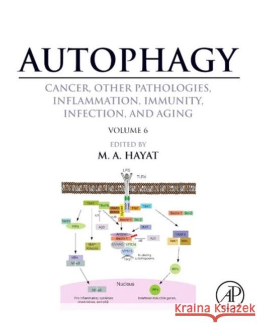 Autophagy: Cancer, Other Pathologies, Inflammation, Immunity, Infection, and Aging: Volume 6- Regulation of Autophagy and Selective Autophagy Hayat, M. A. 9780128010327 Elsevier Science