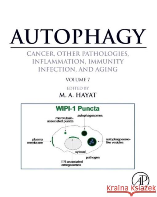Autophagy: Cancer, Other Pathologies, Inflammation, Immunity, Infection, and Aging : Volume 7- Role of Autophagy in Therapeutic Applications Hayat, M. A.   9780128010433 Elsevier Science