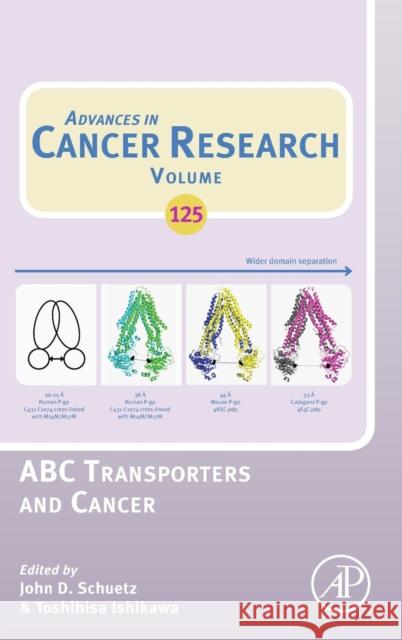 ABC Transporters and Cancer: Volume 125 Ishikawa, Toshihisa 9780128012512