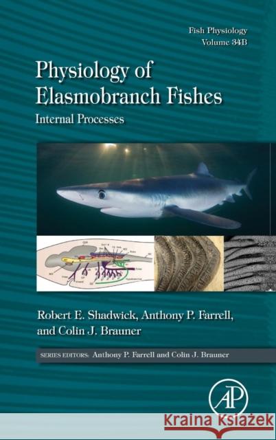 Physiology of Elasmobranch Fishes: Internal Processes: Volume 34b Shadwick, Robert E. 9780128012864 Elsevier Science