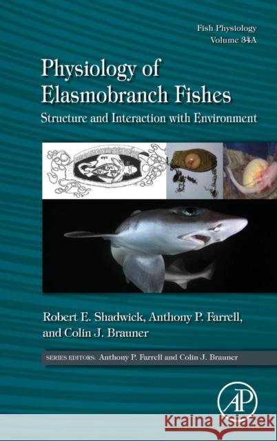 Physiology of Elasmobranch Fishes: Structure and Interaction with Environment: Volume 34a Shadwick, Robert E. 9780128012895 Elsevier Science