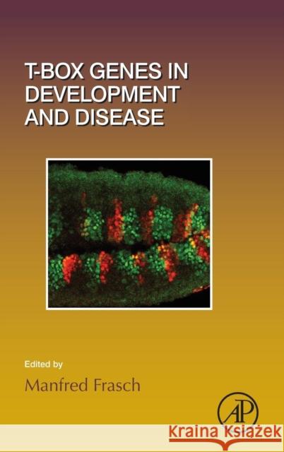 T-Box Genes in Development and Disease: Volume 122 Frasch, Manfred 9780128013809 Academic Press