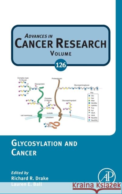 Glycosylation and Cancer: Volume 126 Drake, Richard R. 9780128013816