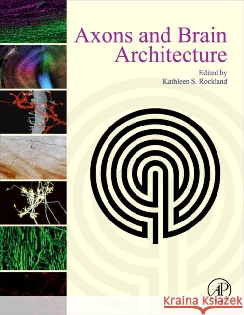 Axons and Brain Architecture Rockland, Kathleen   9780128013939