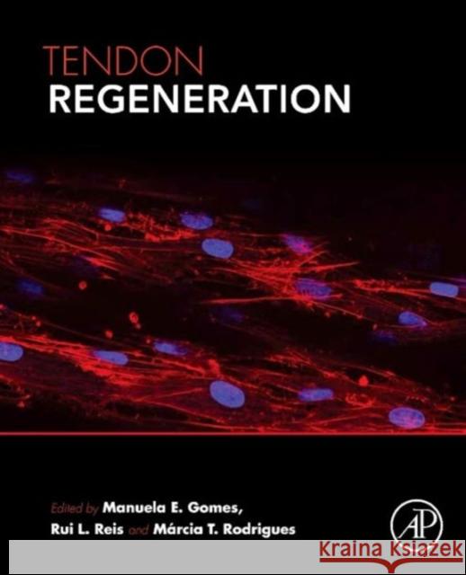 Tendon Regeneration: Understanding Tissue Physiology and Development to Engineer Functional Substitutes Gomes, Manuela E Reis, Rui L Rodrigues, MÃ¡rcia T 9780128015902