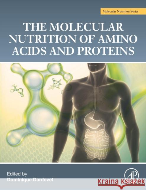 The Molecular Nutrition of Amino Acids and Proteins: A Volume in the Molecular Nutrition Series Dominique Dardevet 9780128021675