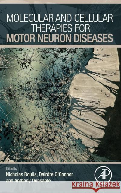 Molecular and Cellular Therapies for Motor Neuron Diseases  9780128022573 
