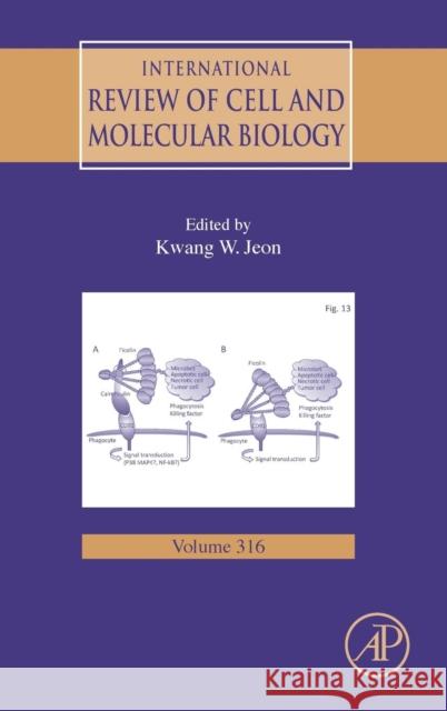 International Review of Cell and Molecular Biology: Volume 316 Jeon, Kwang W. 9780128022818