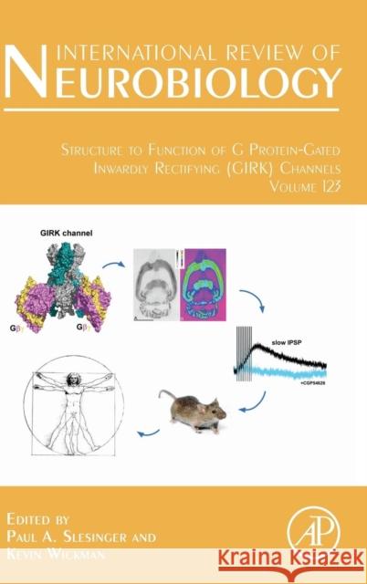 Structure to Function of G Protein-Gated Inwardly Rectifying (Girk) Channels: Volume 123 Slesinger, Paul A. 9780128024584 Elsevier Science
