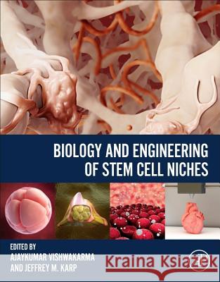 Biology and Engineering of Stem Cell Niches Ajaykumar Vishwakarma Jeffrey M. Karp 9780128027349 Academic Press