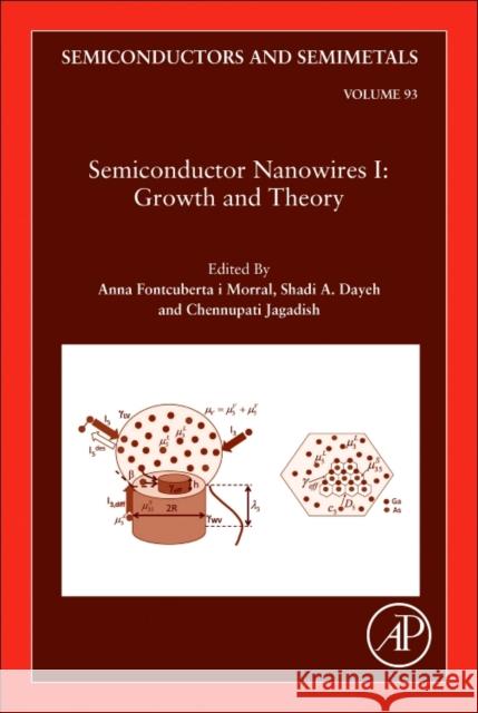 Semiconductor Nanowires I: Growth and Theory: Volume 93 Fontcuberta I. Morral, Anna 9780128030271 Elsevier Science