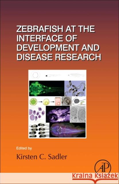 Zebrafish at the Interface of Development and Disease Research: Volume 124 Sadler Edepli, Kirsten C. 9780128033081 Academic Press