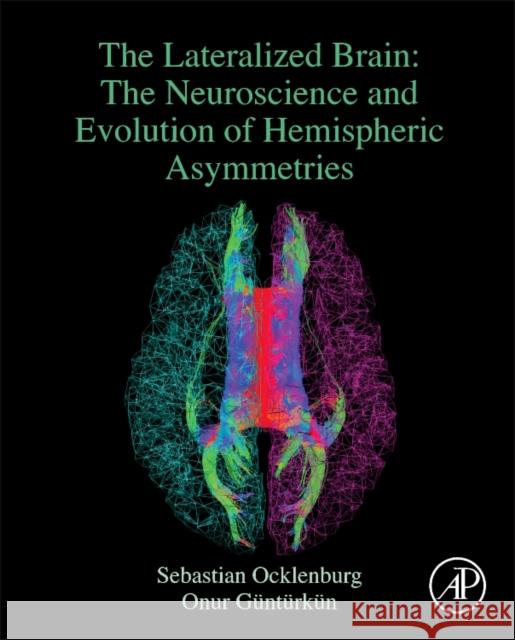 Lateralized Brain The Neuroscience and Evolution of Hemispheric Asymmetries Ocklenburg, Sebastian (Ruhr-Universitat Bochum, Bochum, Germany)|||Gunturkun, Onur (Ruhr-Universitat Bochum, Bochum, Ger 9780128034521