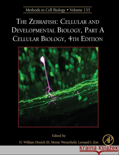 The Zebrafish: Cellular and Developmental Biology, Part a Cellular Biology: Volume 133 Detrich III, H. William 9780128034750