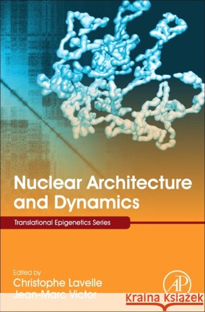 Nuclear Architecture and Dynamics: Volume 2 Lavelle, Christophe 9780128034804 Academic Press