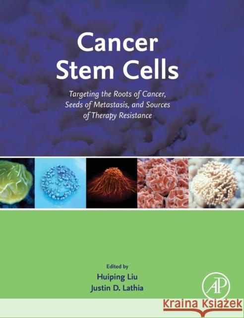 Cancer Stem Cells: Targeting the Roots of Cancer, Seeds of Metastasis, and Sources of Therapy Resistance Liu, Huiping 9780128038925