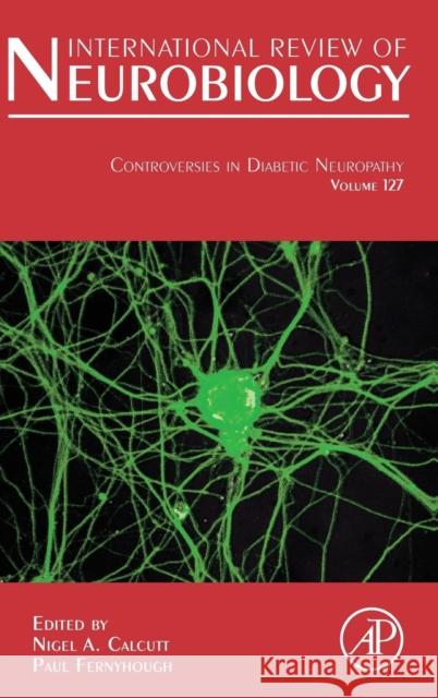 Controversies in Diabetic Neuropathy: Volume 127 Calcutt, Nigel 9780128039151