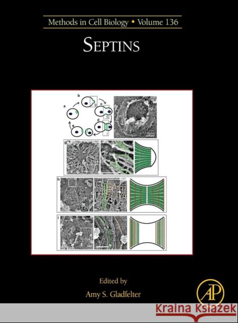 Septins: Volume 136 Gladfelter, Amy S. 9780128039984 Academic Press