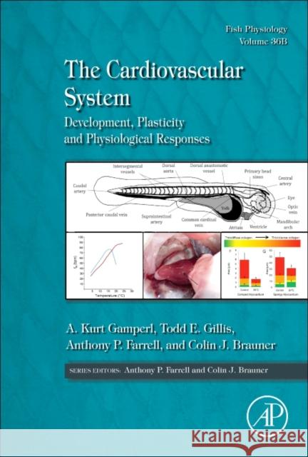 The Cardiovascular System: Development, Plasticity and Physiological Responses Volume 36b Gamperl, Kurt A. 9780128041642 Academic Press