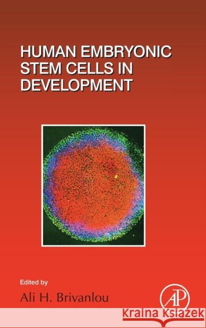 Human Embryonic Stem Cells in Development: Volume 129 Brivanlou, Ali H. 9780128042519 Academic Press