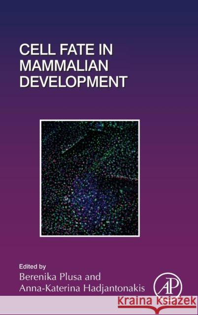 Cell Fate in Mammalian Development: Volume 128 Plusa, Berenika 9780128042526 Academic Press