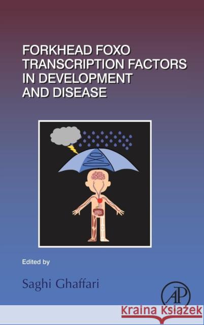 Forkhead Foxo Transcription Factors in Development and Disease: Volume 127 Ghaffari, Saghi 9780128042533 Academic Press