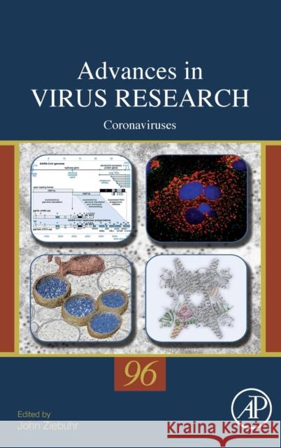 Coronaviruses: Volume 96 Ziebuhr, John 9780128047361 Academic Press