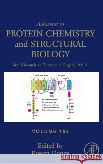 Ion Channels as Therapeutic Targets, Part B: Volume 104 Donev, Rossen 9780128048269