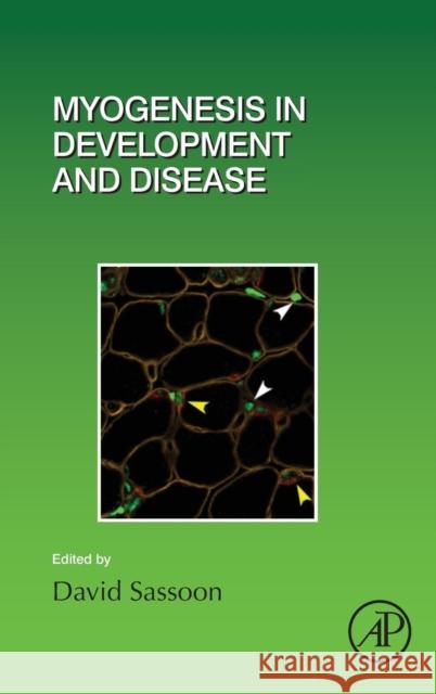 Myogenesis in Development and Disease: Volume 126 Sassoon, David 9780128092156 Academic Press