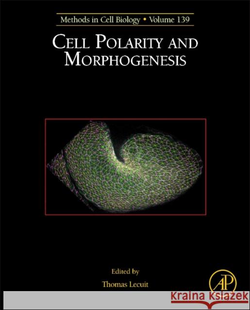 Cell Polarity and Morphogenesis: Volume 139 Lecuit, Thomas 9780128093733 Academic Press