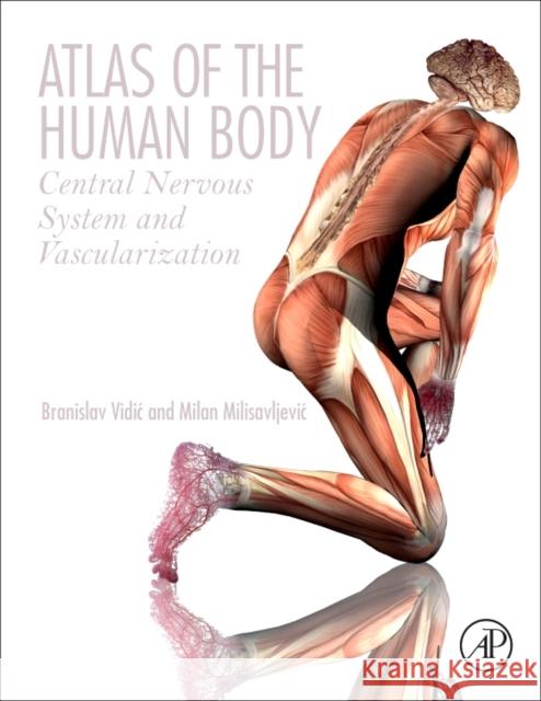 Atlas of the Human Body: Central Nervous System and Vascularization VIDIC, Branislav 9780128094105 Academic Press