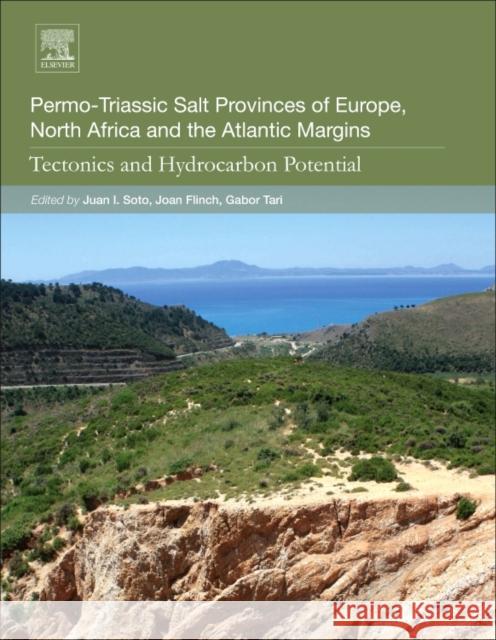 Permo-Triassic Salt Provinces of Europe, North Africa and the Atlantic Margins: Tectonics and Hydrocarbon Potential Juan I. Soto Joan Flinch Gabor Tari 9780128094174 Elsevier