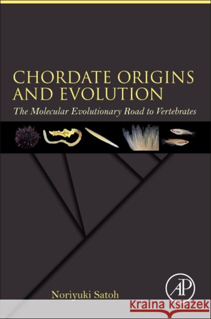 Chordate Origins and Evolution: The Molecular Evolutionary Road to Vertebrates Noriyuki Satoh 9780128099346 ACADEMIC PRESS