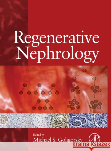 Regenerative Nephrology Michael S. Goligorsky 9780128101964 Academic Press