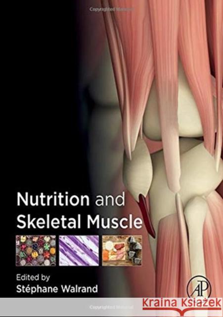 Nutrition and Skeletal Muscle Stephane Walrand 9780128104224 Academic Press