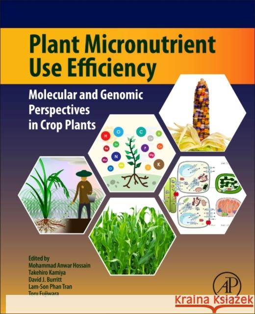 Plant Macronutrient Use Efficiency: Molecular and Genomic Perspectives in Crop Plants Mohammad Anwar Hossain Takehiro Kamiya David J. Burrit 9780128113080 Academic Press