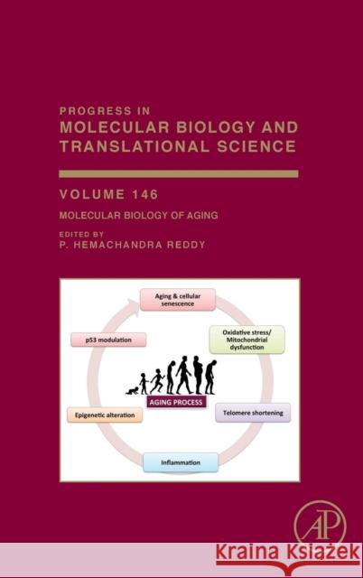 Molecular Biology of Aging: Volume 146 Reddy, P. Hemachandra 9780128115329 Academic Press