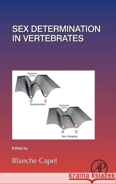 Sex Determination in Vertebrates: Volume 134 Capel, Blanche 9780128115442