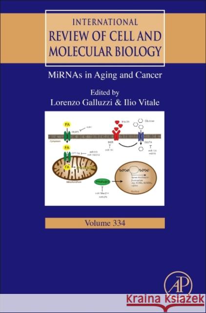 Mirnas in Aging and Cancer: Volume 334 Galluzzi, Lorenzo 9780128118689