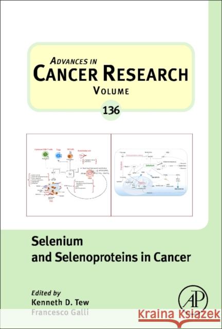 Selenium and Selenoproteins in Cancer: Volume 136 Galli, Francesco 9780128120163 Academic Press