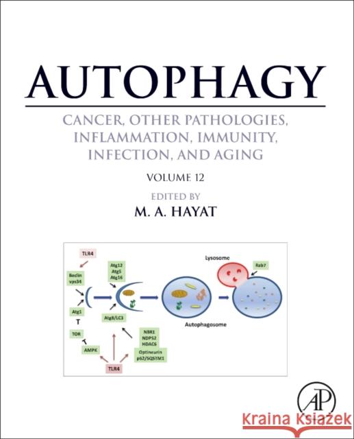 Autophagy: Cancer, Other Pathologies, Inflammation, Immunity, Infection, and Aging: Volume 12 M. A. Hayat 9780128121467 Academic Press